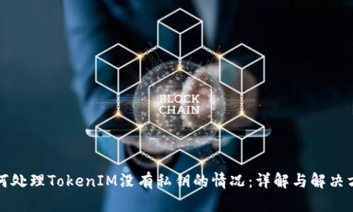 如何处理TokenIM没有私钥的情况:详解与解决方案