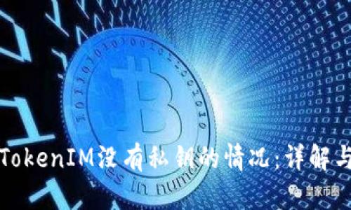 如何处理TokenIM没有私钥的情况：详解与解决方案