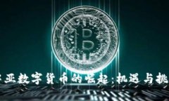 中亚数字货币的崛起：机