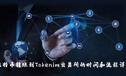 比特币转账到Tokenim交易所的时间和流程详解