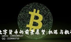 成都数字货币的前景展望