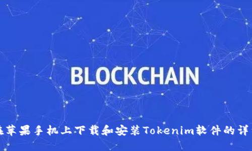 如何在苹果手机上下载和安装Tokenim软件的详细指南