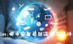Tokenim：邮币安智能链简介
