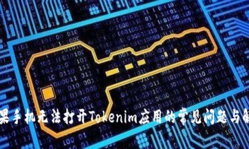 解决苹果手机无法打开Tokenim应用的常见问题与解决方法