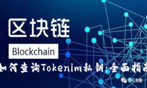 如何查询Tokenim私钥：全面指南