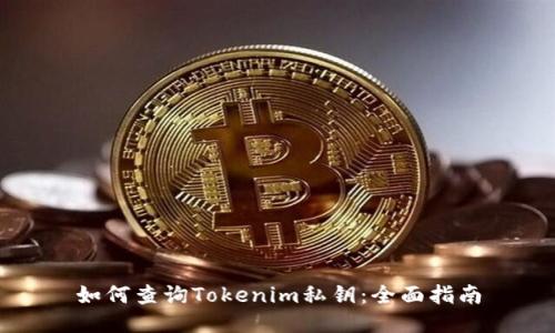 如何查询Tokenim私钥：全面指南