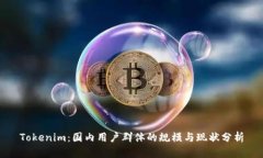 Tokenim：国内用户群体的规