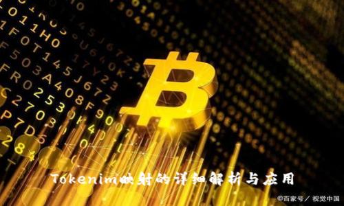 Tokenim映射的详细解析与应用