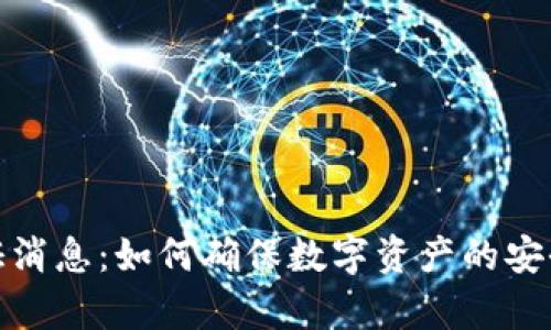 数字货币验证消息：如何确保数字资产的安全性与真实性