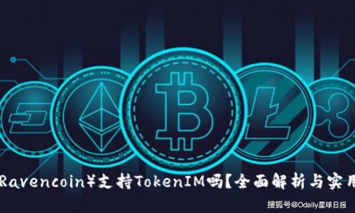 RVN（Ravencoin）支持TokenIM吗？全面解析与实用指南