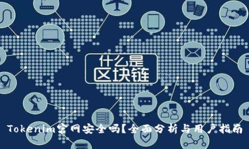 Tokenim官网安全吗？全面分析与用户指南