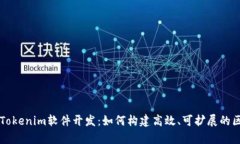 全面解析Tokenim软件开发：