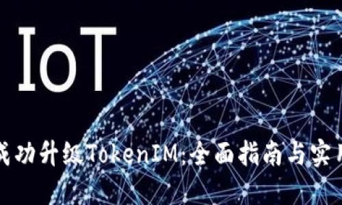 如何成功升级TokenIM：全面指南与实用技巧