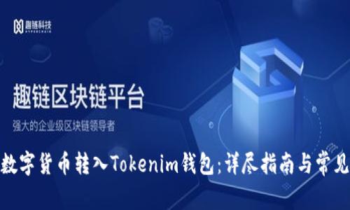 : 如何将数字货币转入Tokenim钱包：详尽指南与常见问题解答