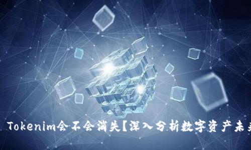 : Tokenim会不会消失？深入分析数字资产未来