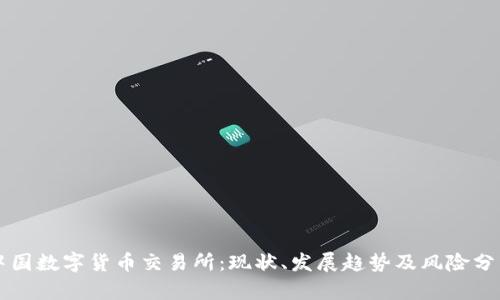 中国数字货币交易所：现状、发展趋势及风险分析