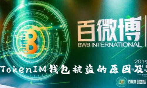 理解TokenTokenIM钱包被盗的原因及其防范措施