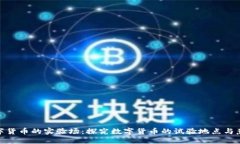 数字货币的实验场：探究