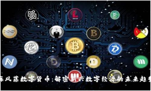 海风藤数字货币：解密新兴数字经济的未来趋势