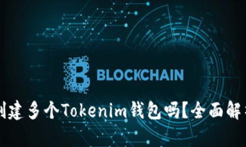 一个人可以创建多个Tokenim钱包吗？全面解析及实用指南