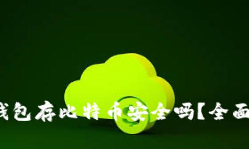 Tokentokenim钱包存比特币安全吗？全面指南与风险分析