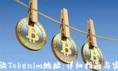 如何查询Tokenim地址：详细指南与实用技巧