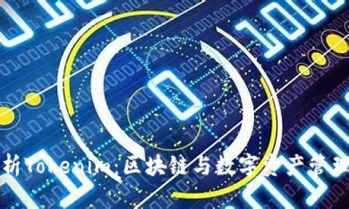 深入解析Tokenim：区块链与数字资产管理的未来