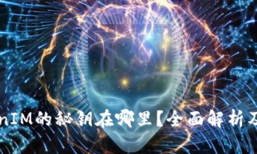 问题TokenIM的秘钥在哪里？全面解析及使用指南
