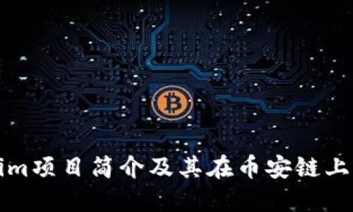 Tokenim项目简介及其在币安链上的应用