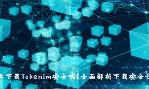 在百度上下载Tokenim安全吗？全面解析下载安全性与风险