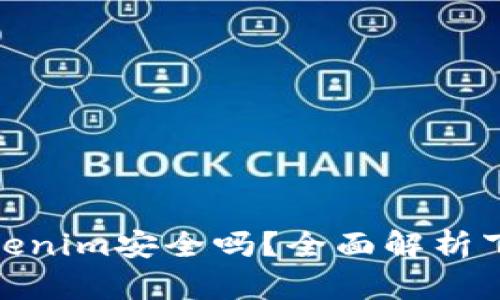 在百度上下载Tokenim安全吗？全面解析下载安全性与风险