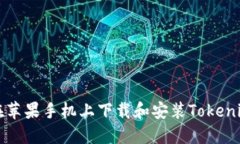 如何在苹果手机上下载和