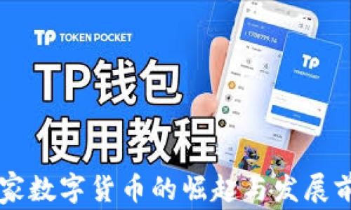 
未来国家数字货币的崛起与发展前景分析