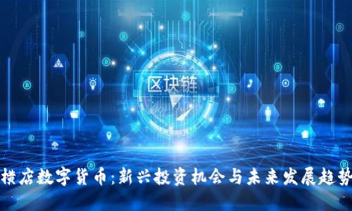 横店数字货币：新兴投资机会与未来发展趋势