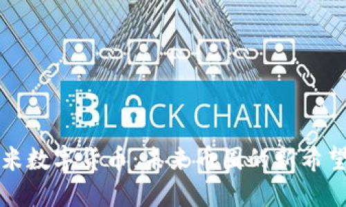 海南友米数字货币：未来币圈的新希望与挑战