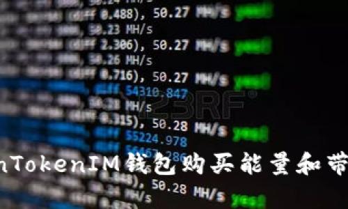 如何在TokenTokenIM钱包购买能量和带宽：详细指南