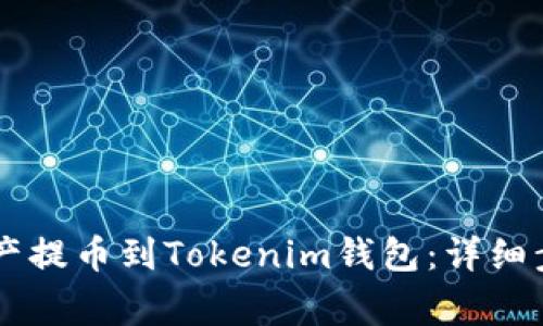 如何将OK链资产提币到Tokenim钱包：详细步骤与注意事项