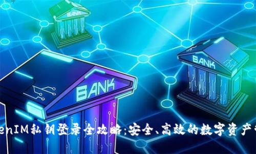 TokenIM私钥登录全攻略：安全、高效的数字资产管理