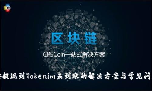 : 币安提现到Tokenim未到账的解决方案与常见问题解析
