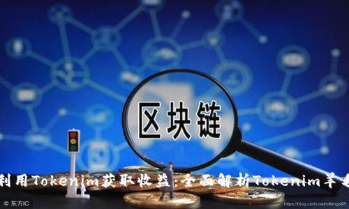 如何利用Tokenim获取收益：全面解析Tokenim羊毛玩法