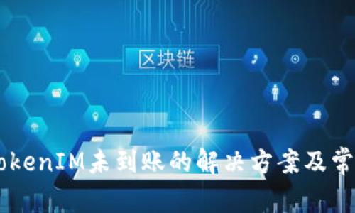 币安提现TokenIM未到账的解决方案及常见问题解析