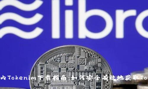 2018年国内Tokenim下载指南：如何安全有效地获取Tokenim应用