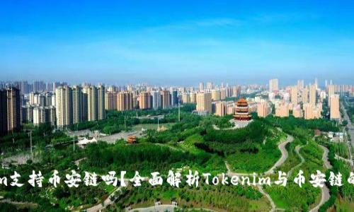 ### Tokenim支持币安链吗？全面解析Tokenim与币安链的兼容性与优势