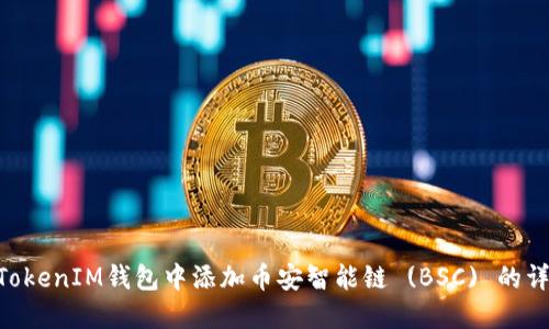如何在TokenTokenIM钱包中添加币安智能链 (BSC) 的详细步骤和指南