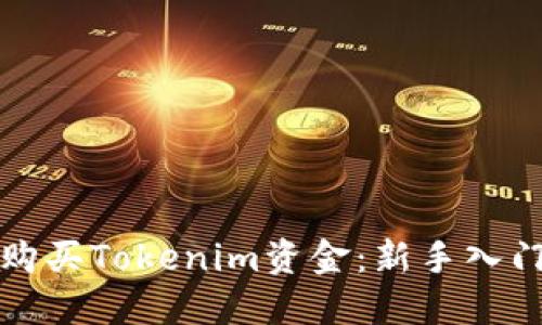 如何购买Tokenim资金：新手入门指南