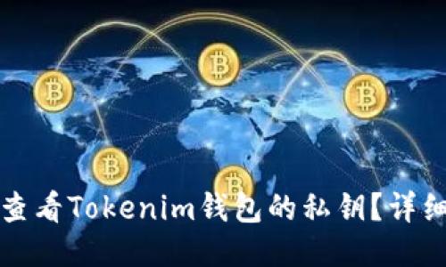 如何查看Tokenim钱包的私钥？详细指南
