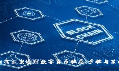 如何立案追踪数字货币骗局：步骤与策略