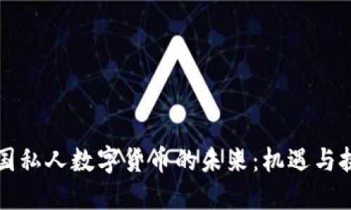 英国私人数字货币的未来：机遇与挑战