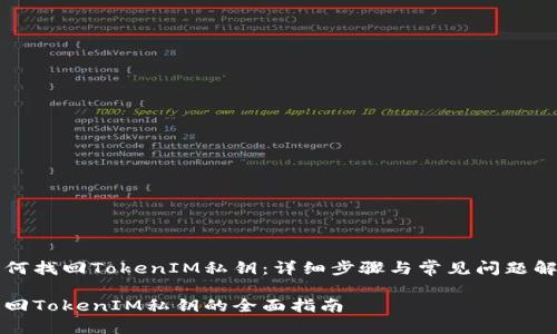 如何找回TokenIM私钥：详细步骤与常见问题解析

找回TokenIM私钥的全面指南