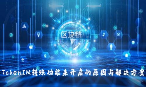 TokenIM转账功能未开启的原因与解决方案